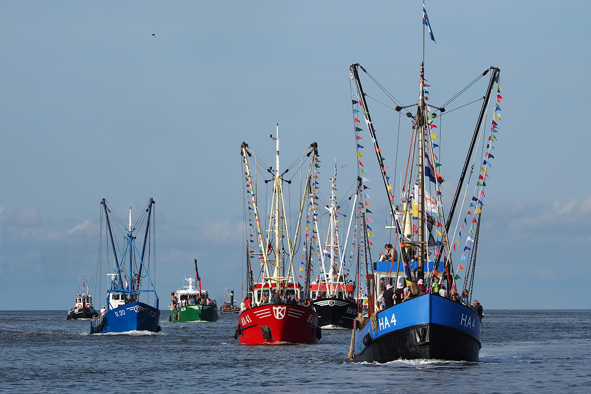 Visserijdagen Harlingen Visserijdagen Harlingen